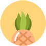 菠萝蜜视频app汅免费观看下载，菠萝蜜视频app汅免费观看高清极速版下载